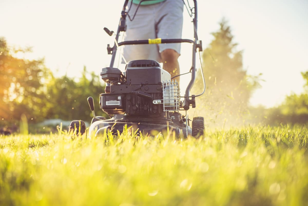 Push mower cutting a residential lawn in low evening sunlight
